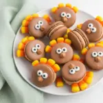 Turkey Macarons