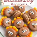 Turkey Macarons